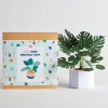 Lovepop Pop-Up Bouquets|Handcrafted Paper Flowers|Paper Monstera Plant DIY Kit