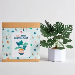 Lovepop Pop-Up Bouquets|Handcrafted Paper Flowers|Paper Monstera Plant DIY Kit