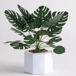 Lovepop Pop-Up Bouquets|Handcrafted Paper Flowers|Paper Monstera Plant DIY Kit