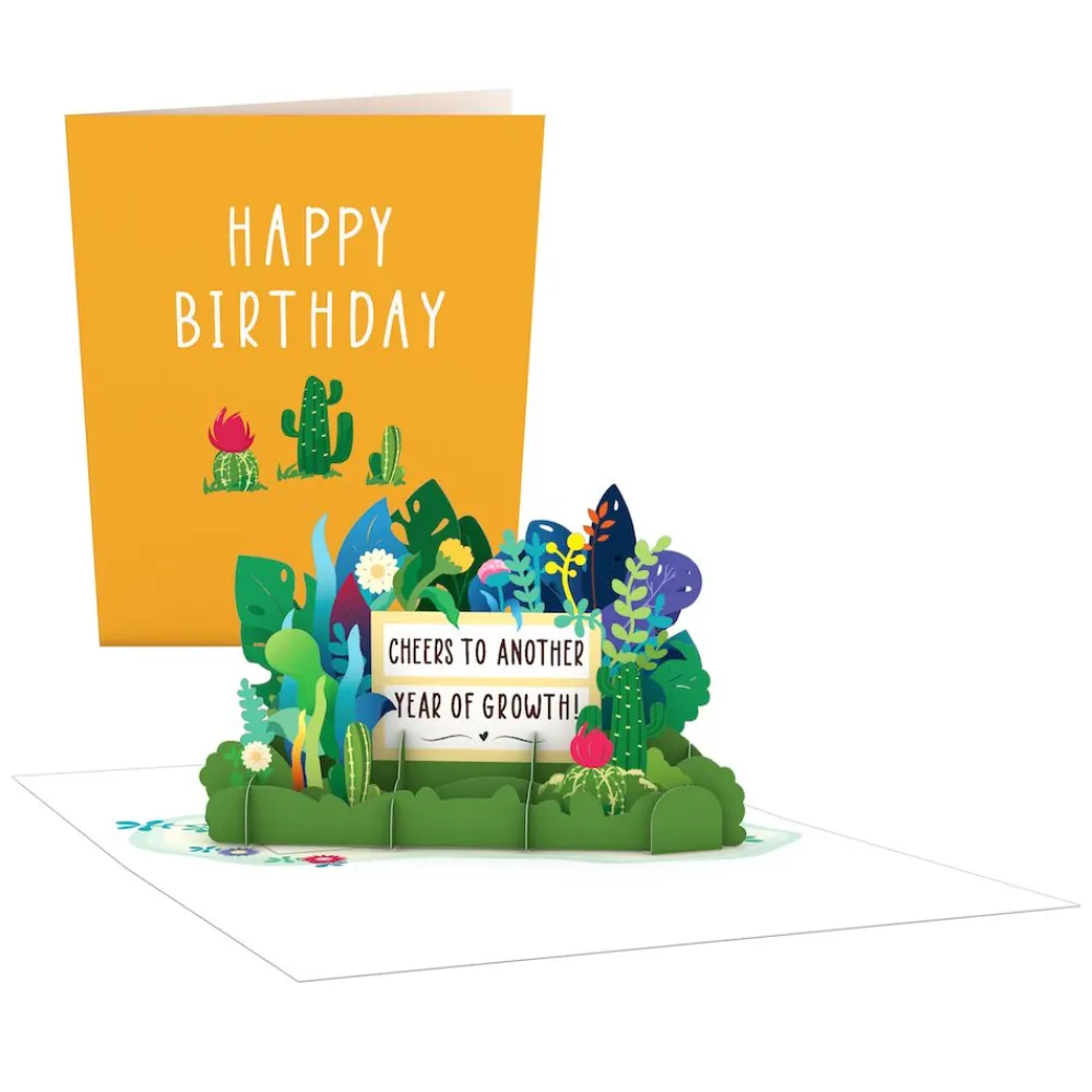 Lovepop Value Packs|Birthday|Paperpop Birthday Box Set (Assorted 24-Pack): Paperpop® Card