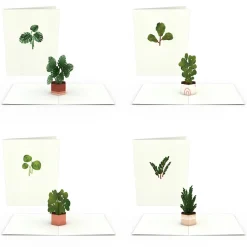 Lovepop Notecards|Just Because|Plants Notecards (Assorted 4-Pack)