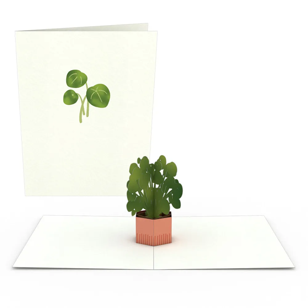 Lovepop Notecards|Just Because|Plants Notecards (Assorted 4-Pack)