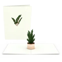 Lovepop Notecards|Just Because|Plants Notecards (Assorted 4-Pack)
