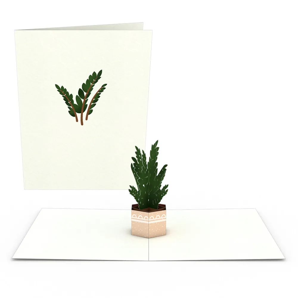 Lovepop Notecards|Just Because|Plants Notecards (Assorted 4-Pack)