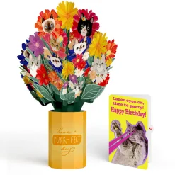 Lovepop Pop-Up Bouquets|Purr-fect Cat Birthday Bouquet and Cat Laser Eyes Sentiment Set