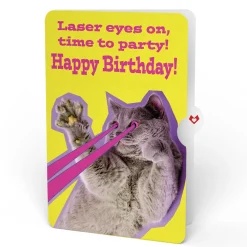 Lovepop Pop-Up Bouquets|Purr-fect Cat Birthday Bouquet and Cat Laser Eyes Sentiment Set