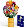 Lovepop Pop-Up Bouquets|Purr-fect Cat Birthday Bouquet and Space Laser Cats Sentiment Set