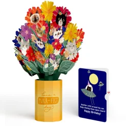 Lovepop Pop-Up Bouquets|Purr-fect Cat Birthday Bouquet and Space Laser Cats Sentiment Set