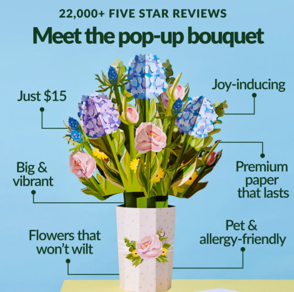 Lovepop Pop-Up Bouquets|Decor|Purr-fect Cat Bouquet