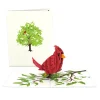 Lovepop Greeting Cards|Just Because|Radiant Cardinal Pop-Up Card