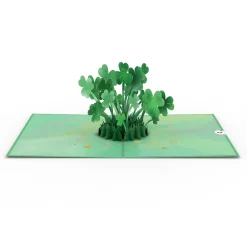 Lovepop Pop-Up Bouquets|Card & Gift Bundles|Saint Patrick's Day Bundle