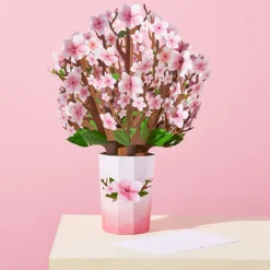 Lovepop Pop-Up Bouquets|Card & Gift Bundles|Sending Sunshine Cardinal Suncatcher Card & Pop-Up Bouquet Bundle