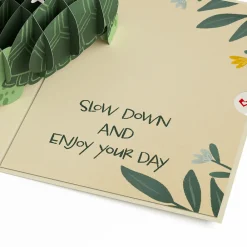 Lovepop Greeting Cards|Birthday|Shell-ebrate Birthday Turtle Pop-Up Card