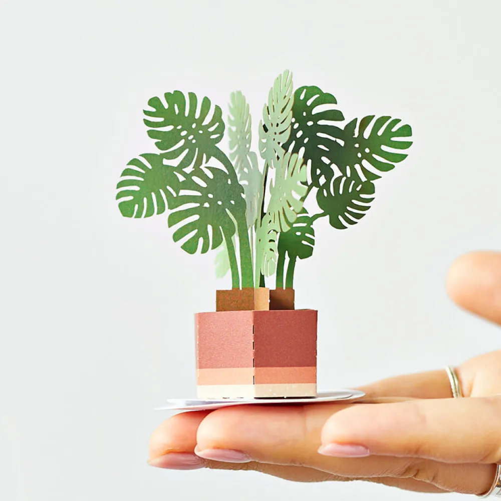 Lovepop Pop-Up Stickers|Kids|Stickerpop™: Monstera (1-Pack)