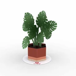 Lovepop Pop-Up Stickers|Kids|Stickerpop™: Monstera (1-Pack)