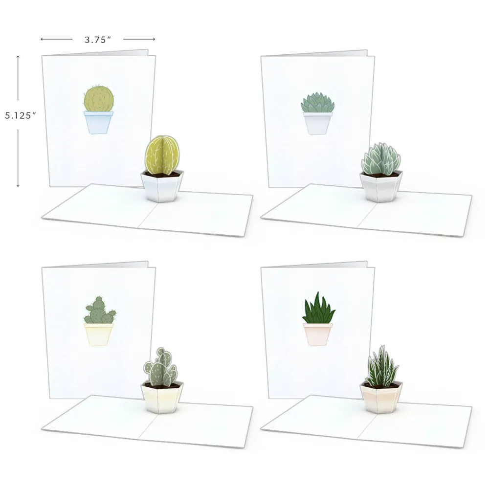 Lovepop Notecards|Just Because|Succulent Notecards (Assorted 4-Pack)
