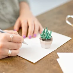 Lovepop Notecards|Just Because|Succulent Notecards (Assorted 4-Pack)