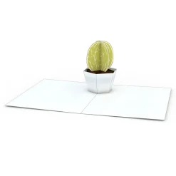 Lovepop Notecards|Just Because|Succulent Notecards (Assorted 4-Pack)