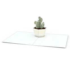 Lovepop Notecards|Just Because|Succulent Notecards (Assorted 4-Pack)
