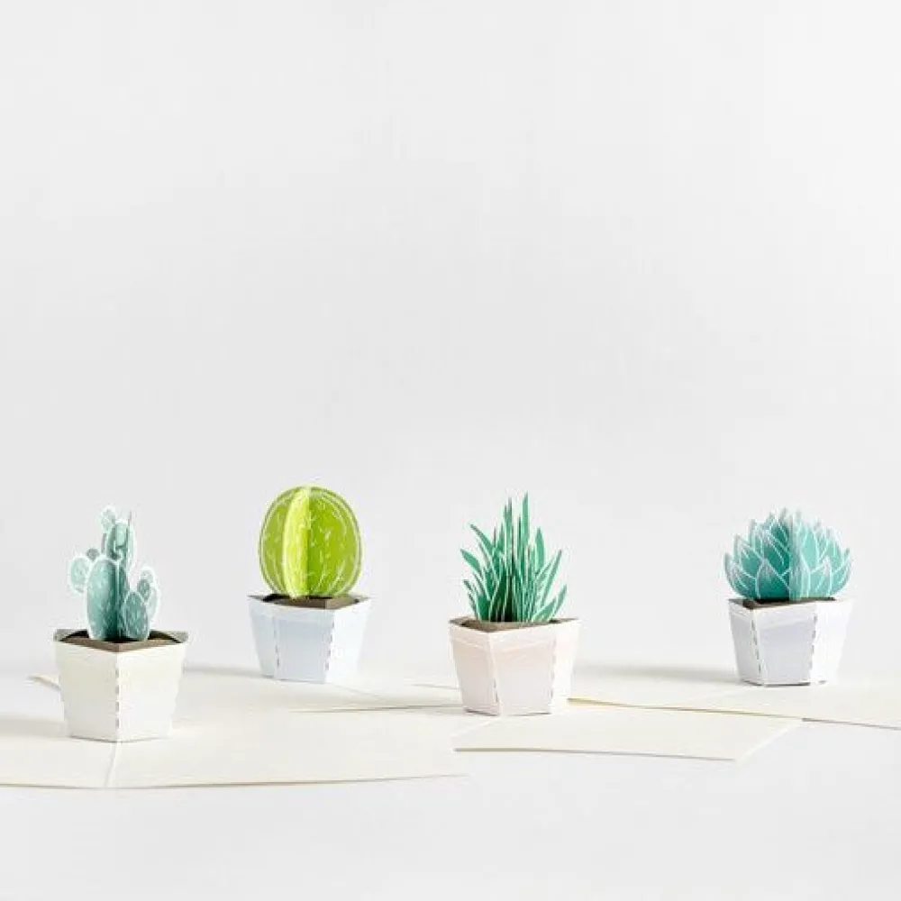 Lovepop Notecards|Just Because|Succulent Notecards (Assorted 4-Pack)