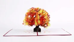 Lovepop Greeting Cards|Just Because|Sugar Maple Tree Pop-Up Card