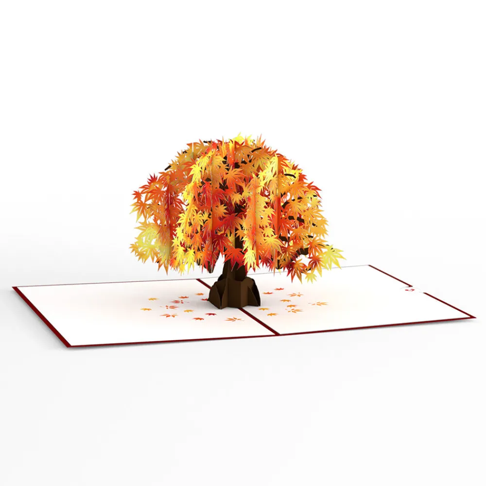 Lovepop Greeting Cards|Just Because|Sugar Maple Tree Pop-Up Card