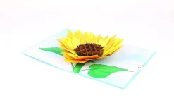 Lovepop Greeting Cards|Birthday|Sunflower Bloom Pop-Up Card