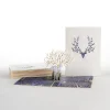 Lovepop Value Packs|Surreal Deer 12-Pack