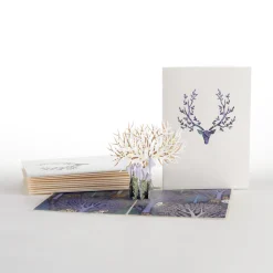Lovepop Value Packs|Surreal Deer 12-Pack