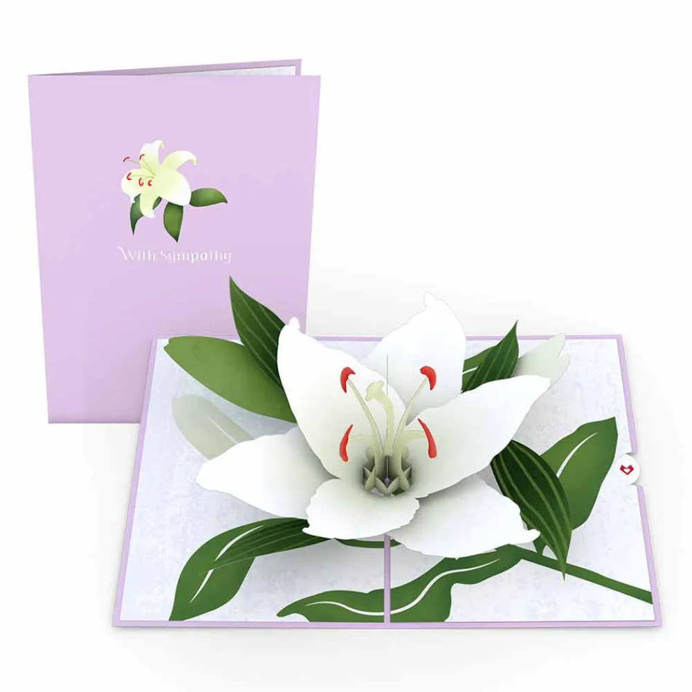 Lovepop Greeting Cards|Sympathy|Sympathy Lily Pop-Up Card