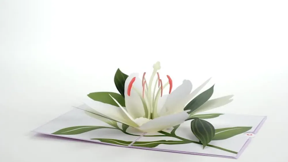 Lovepop Greeting Cards|Sympathy|Sympathy Lily Pop-Up Card