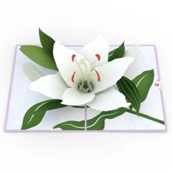 Lovepop Greeting Cards|Sympathy|Sympathy Lily Pop-Up Card