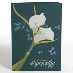 Lovepop Value Packs|Sympathy|Sympathy 3-Pack