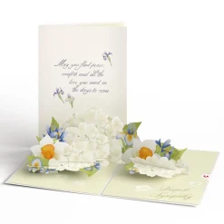 Lovepop Value Packs|Sympathy|Sympathy 3-Pack