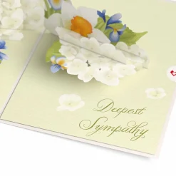 Lovepop Value Packs|Sympathy|Sympathy 3-Pack