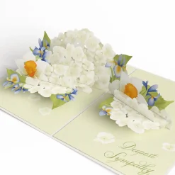Lovepop Value Packs|Sympathy|Sympathy 3-Pack