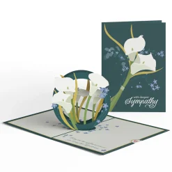 Lovepop Value Packs|Sympathy|Sympathy 3-Pack