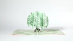 Lovepop Sympathy|Sympathy Tree Pop-Up Card