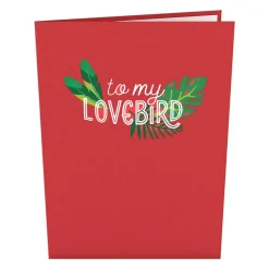 Lovepop Greeting Cards|Valentine'S Day 2/14|To My Lovebird Pop-Up Card