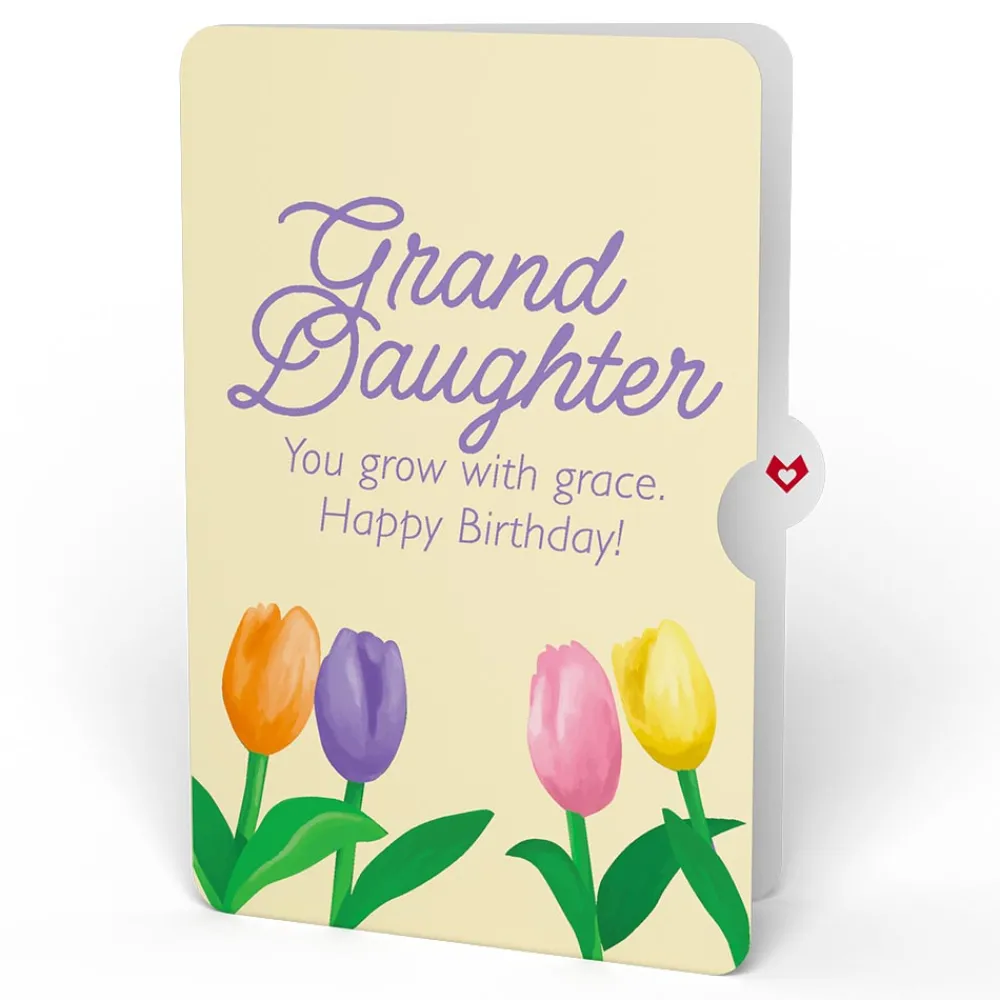 Lovepop Birthday|Tulips Birthday Pop-Up Card and Sentiment Set for Granddaughter
