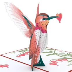 Lovepop Valentine'S Day 2/14|Her|Valentine’s Day Hummingbird Pop-Up Card