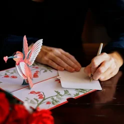 Lovepop Valentine'S Day 2/14|Her|Valentine’s Day Hummingbird Pop-Up Card