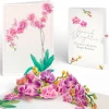 Lovepop Birthday|Watercolor Orchid Birthday Pop-Up Card and Sentiment Set for Granddaughter