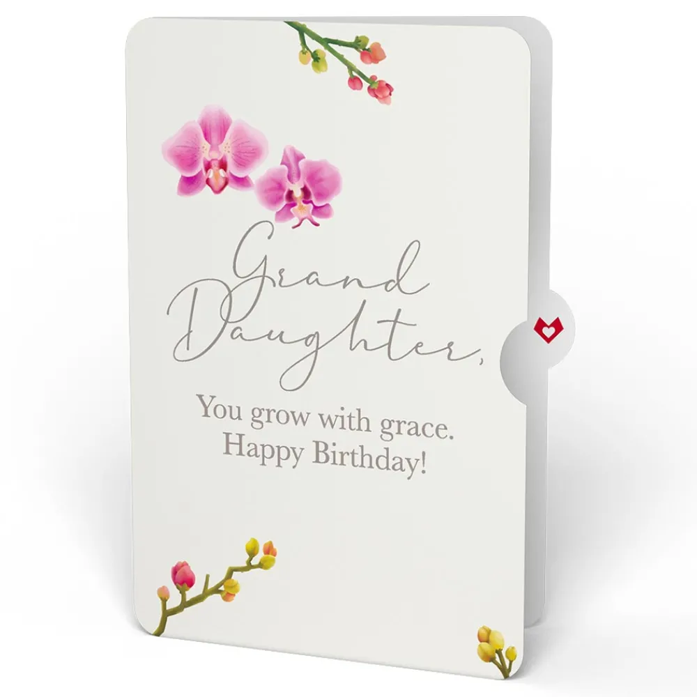 Lovepop Birthday|Watercolor Orchid Birthday Pop-Up Card and Sentiment Set for Granddaughter