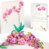 Lovepop Birthday|Watercolor Orchid Birthday Pop-Up Card and Sentiment Set for Sister