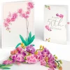 Lovepop Birthday|Watercolor Orchid 50th Birthday Pop-Up Card and Sentiment Set