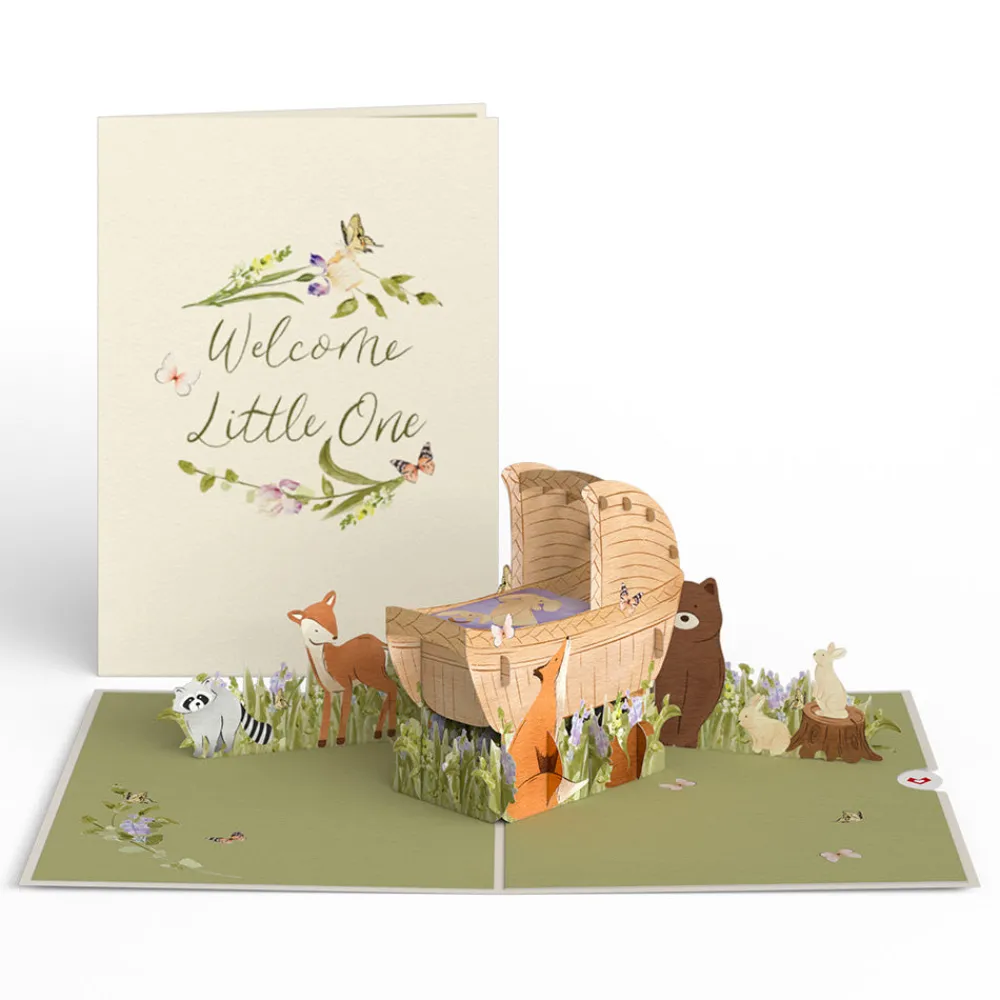 Lovepop Greeting Cards|Baby|Welcome Little One New Baby Pop-Up Card