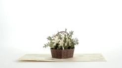 Lovepop Greeting Cards|Get Well|White Flower Basket Pop-Up Card