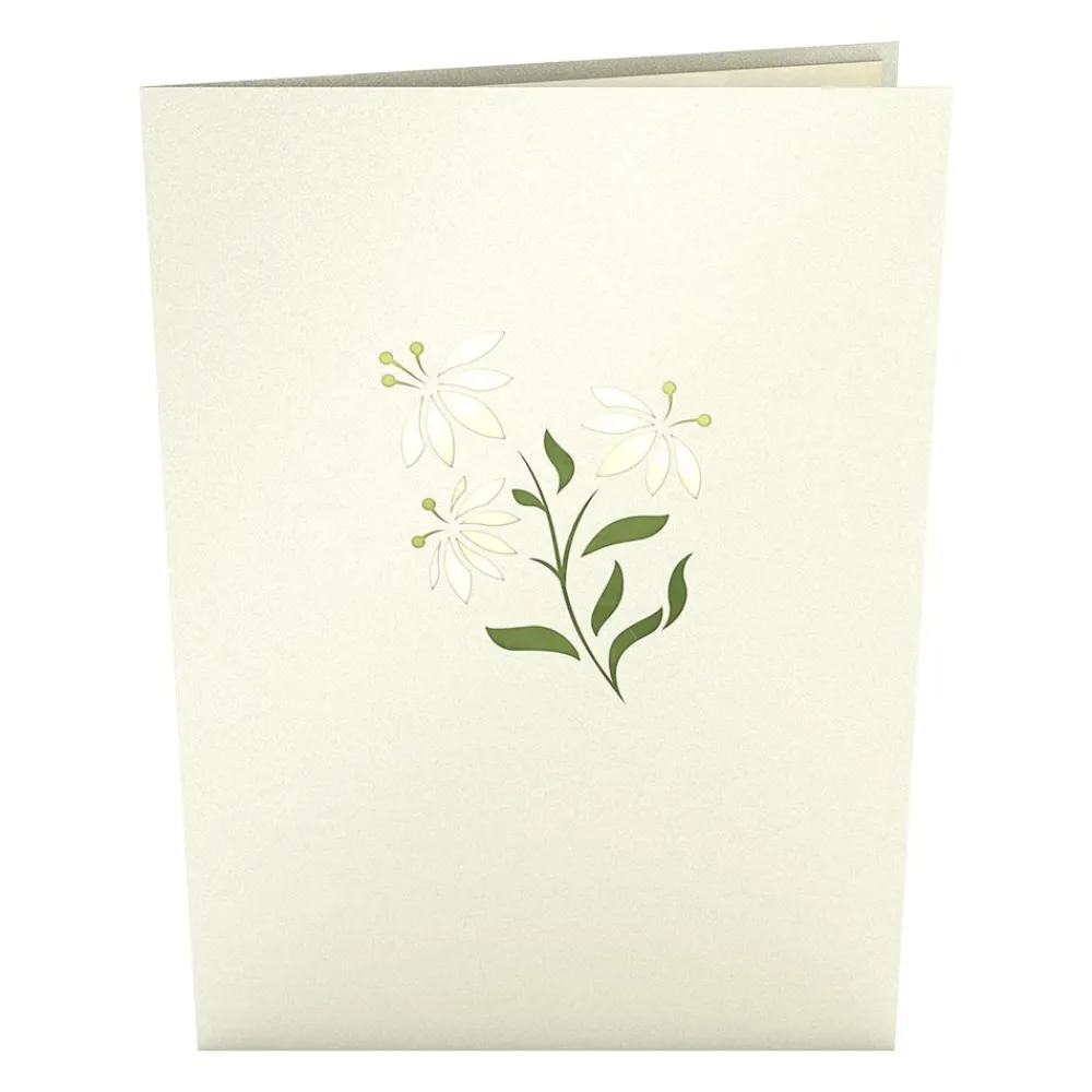 Lovepop Greeting Cards|Get Well|White Flower Basket Pop-Up Card