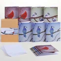 Lovepop Value Packs|Winter Bird Box Set (Assorted 12-Pack): Paperpop® Card